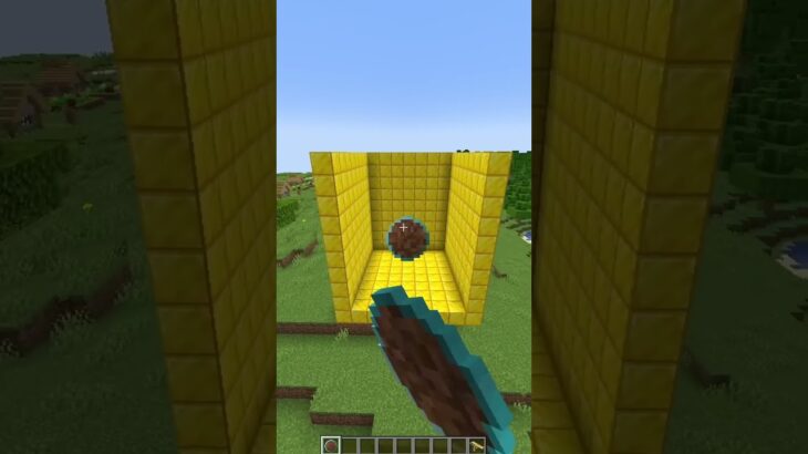 MINECRAFT HOLE FILLER MOD 😱