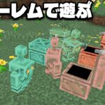 【マイクラ】最新MOBの銅ゴーレムの仕様や仕分け条件など色々を確認してみたら面白かった