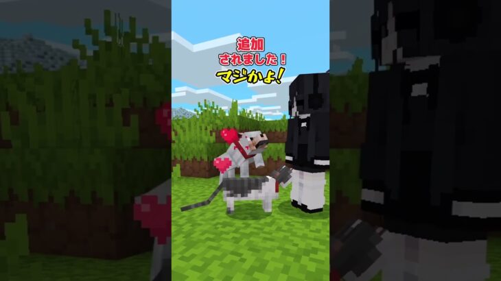 【テクスチャ紹介】やっぱ公式影MODよりこっちでしょ！【統合版マイクラ】