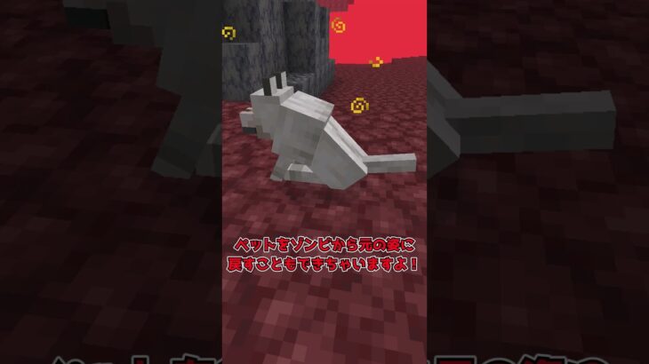 【MOD紹介】もしも、あなたのペットがゾンビとして復活できたら…！？【マイクラ】【ゆっくり実況】#shorts