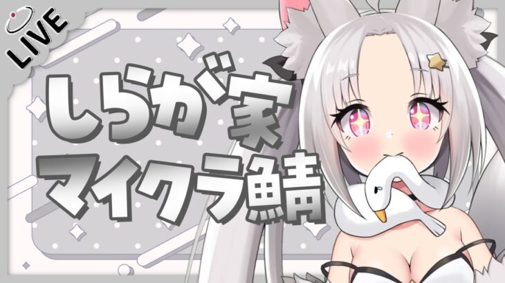 【 しらが家マイクラ鯖 】エンドシティが異常にないこのワールドで最強になるためにエリトラを見つける旅【 マインクラフト / Minecraft 】