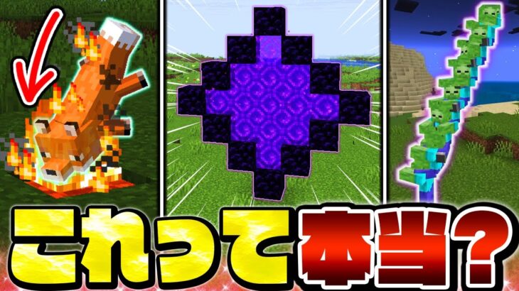 【マイクラ】誰もが気になるバグ裏技のウワサを検証したら…衝撃の結果に！？【Minecraft・マインクラフト】