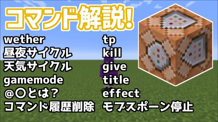 【Minecraft】よく使うコマンドをざっくり解説！！