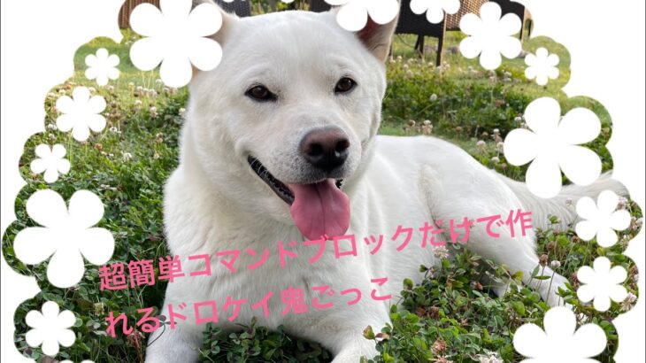 #ケイドロ鬼ごっこ#コマンドブロック#コマンド紹介#簡単#楽しい#リピートコマンドブロック#チェーンコマンドブロック#コマブロ#マイクラ#Minecraft#マインクラフト
