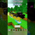 Minecraft💀