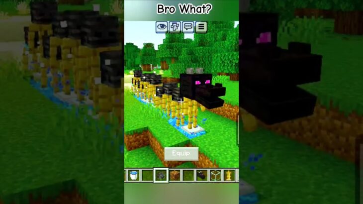 Minecraft💀