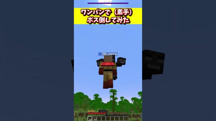【ネタコマンド】マイクラのボスを素手でワンパンしてみた【Minecraft】