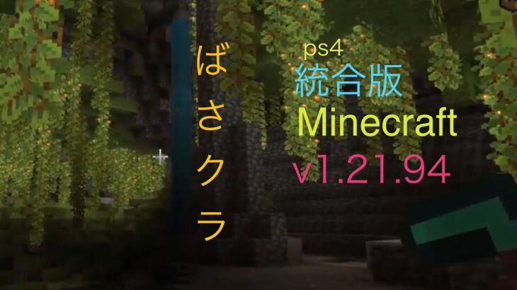 【Minecraft】エンチャント本の準備！エンドから持ち帰ったアイテムにエンチャントをする為エンチャント本を揃えます。【 マイクラ 】【 ばさクラ 】 【ハヤバサワールド 】  #  771
