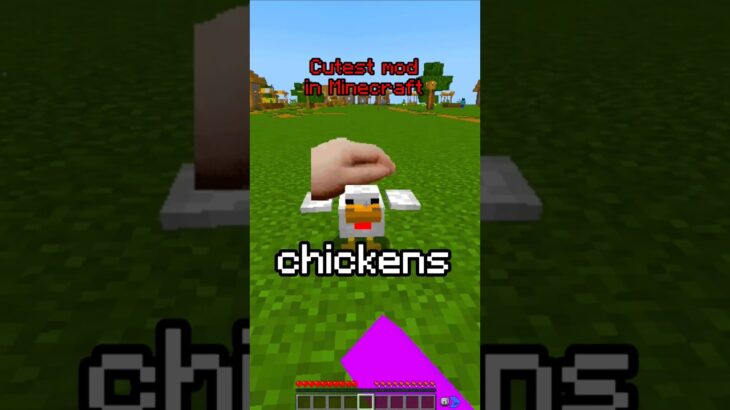 Minecraft CUTEST Mod