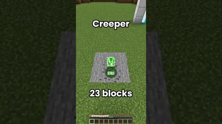 Minecraft Mobs Fall Test (Rock That Body)