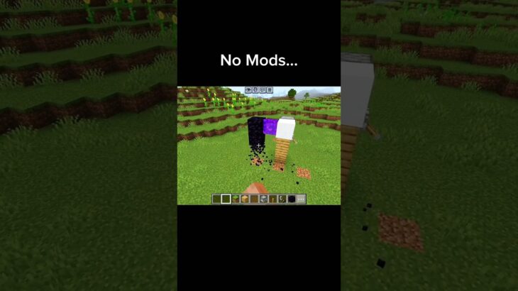 Minecraft No Mods 💀