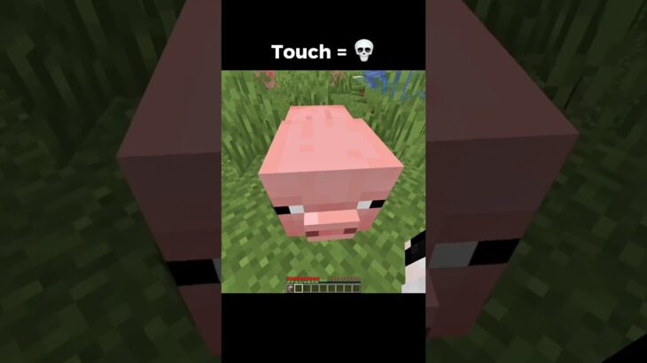 Minecraft Touch Command