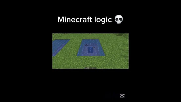 Minecraft logic 💀