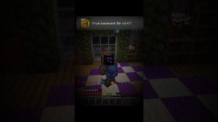 Minecraft mods pt 5