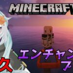【Minecraft】　＃10 耐久！！エンチャント1本釣り！！