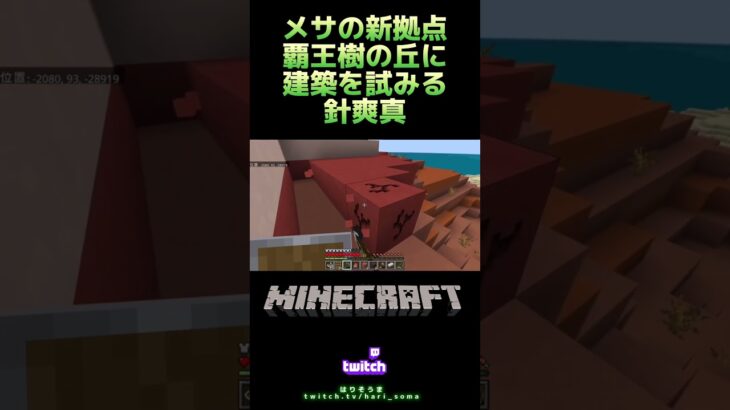 【針爽真／Minecraft】切り抜き動画(非公式)メサの第3拠点に思いつきで家を建て始める🏜️ #はりそうま #Minecraft #マインクラフト #マイクラ #ゲーム実況 #twitch