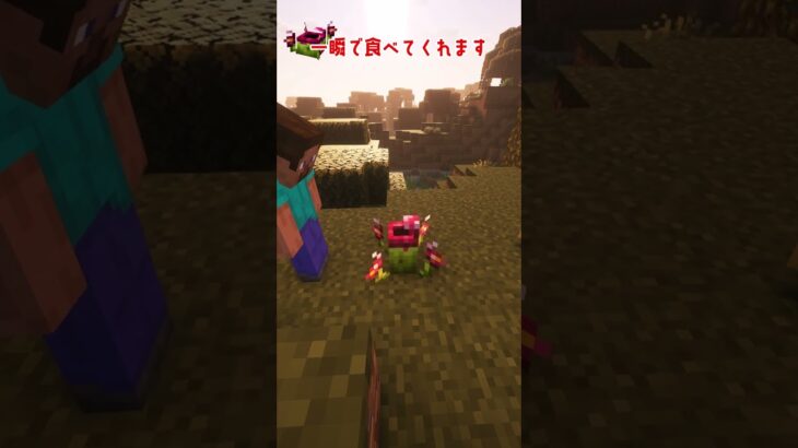 【Minecraft】独特な植物と共生しよう！【MOD紹介】 #マイクラ#mods #マインクラフト #minecraft #shorts