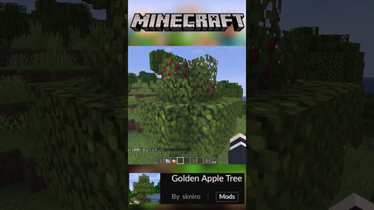 【Minecraft】金リンゴが生る木！MOD『Golden Apple Tree』【MOD紹介】#shorts #ゆっくり紹介