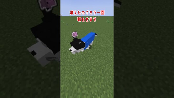 【Minecraft】最強の猫vs最強の豚【MOD紹介】 #マイクラ#mods #マインクラフト #minecraft #shorts