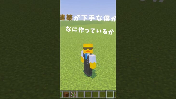 【Minecraft】建築が超下手なとおまくんが作っているものを当てろクイズしたらまさかのww#shorts #Minecraft #マイクラ #ライラック #マインクラフト #ネタ動画