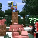 【マイクラ】魔術れ夢の国マルチ Part33【ゆっくり実況】