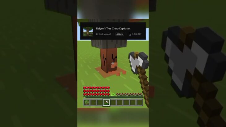 Random Minecraft Mod💥