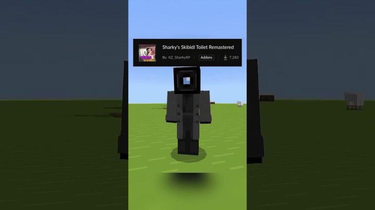 Random Minecraft Mod💥
