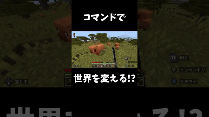 【マイクラ統合版】世界が狂った！？＃マイクラ＃マイクラ統合版＃コマンド#初音ミク#ボカロ ＃アドオン＃TNT＃minecraft＃マインクラフト