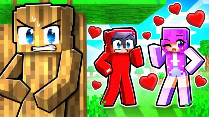 Using INVISIBILITY To SPY On My CRUSH in Minecraft!