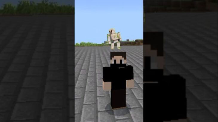 guess the Minecraft mod in 62 seconds!
