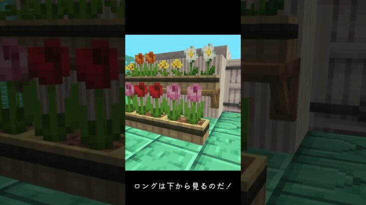 ずんケモんの妄想建築inツインハウス🫛