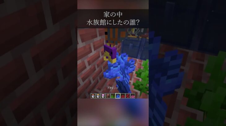 うちの家を水族館にしたやつだれ？#minecraft  #マイクラ