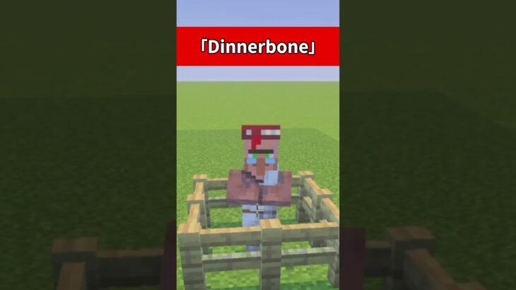 名札すごい！？ #まいんくらふと #マイクラ #minecraft #マイクラ豆知識