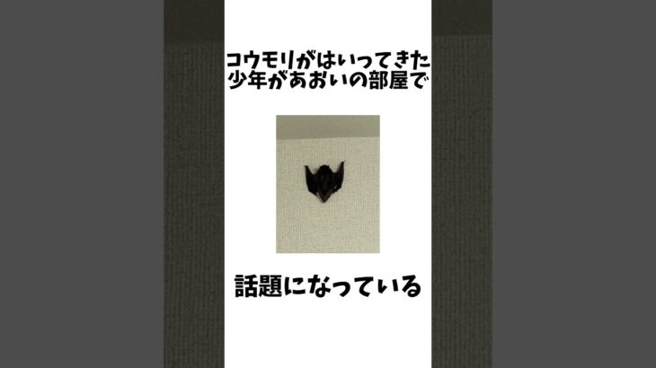 家に母親と共にコウモリが入ってきた娼年が話題になっている #minecraft #マイクラ #マインクラフト