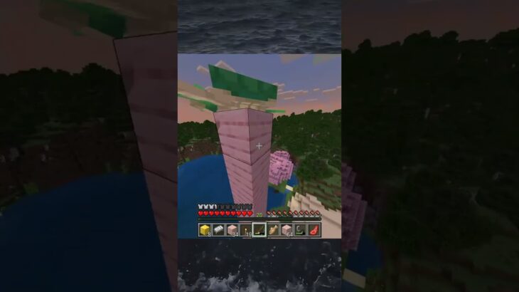 『🐢はよ竜宮城連れてけや。』#マイクラ#マインクラフト#minecraft #無名のおにぎり #沼クリップ製造機　#エンダーマン