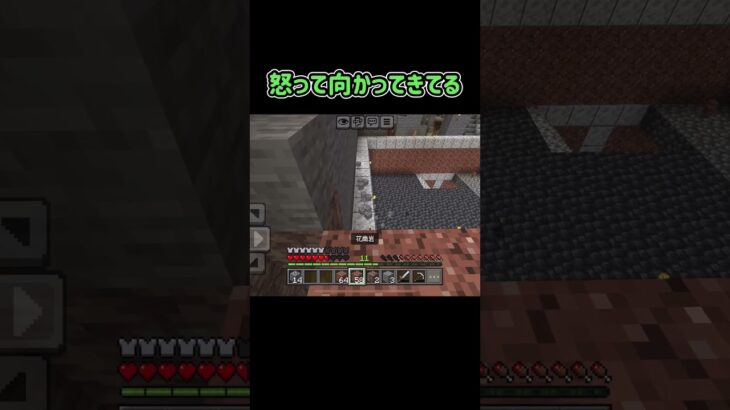 落下ダメージで倒れて欲しかった。建築やっている時に、現れて欲しくないよね💦 #マイクラ #マインクラフト #minecraft