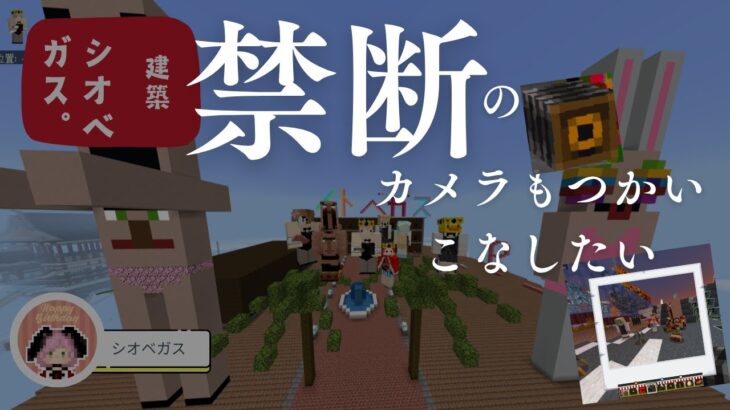 【マイクラ統合版】禁断のカメラをアドオンに入れてみたら色々やばかった！！２＃チーム塩大福：#minecraft