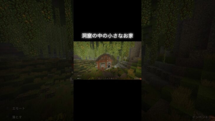 洞窟の中の小さなお家🏡 #マイクラ #マインクラフト #minecraft #マイクラ好きな人と繋がりたい #architecture #マイクラ建築 #game #shorts #cave #家