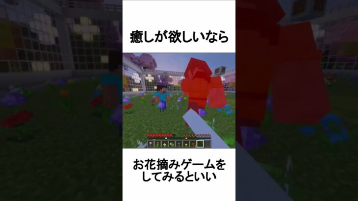 お花摘みゲームに関する雑学•小ネタ #マインクラフト #マイクラ #minecraft #minecraftshorts #雑学