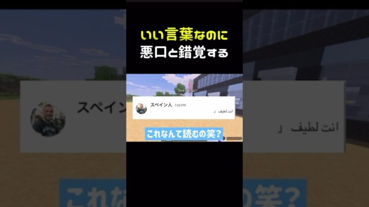 スペイン語で「あなたは優しい」なのに錯覚する　#マイクラ #マインクラフト #minecraft #minecraftshorts #shorts
