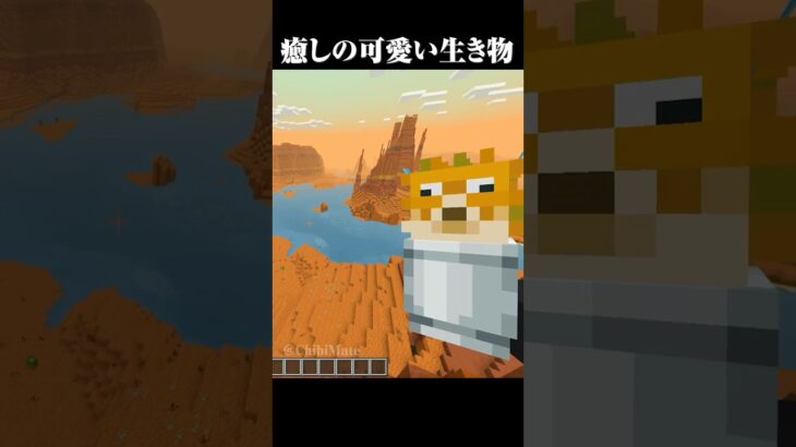 マイクラに潜む可愛い生き物たち #マイクラ #minecraft #マインクラフト #shorts
