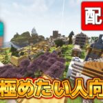 久しぶりにマイクラ建築します #minecraft #マイクラ #shorts