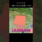 一億を可視化してみた！ #マイクラ #minecraft #shorts