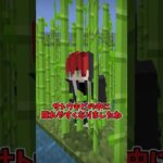【最新】ヤバすぎる新機能！？ #マイクラ #minecraft #shorts