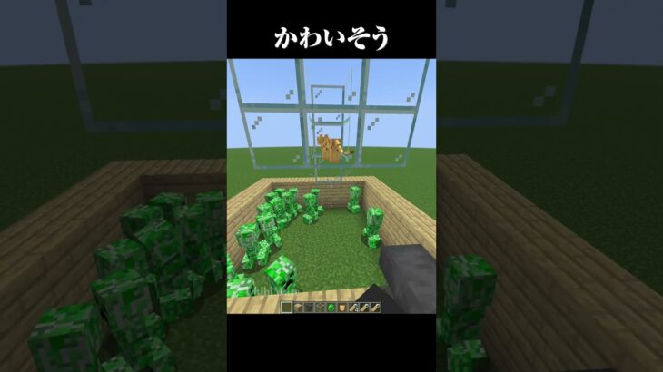 かわいそう #マイクラ #minecraft #マインクラフト #shorts