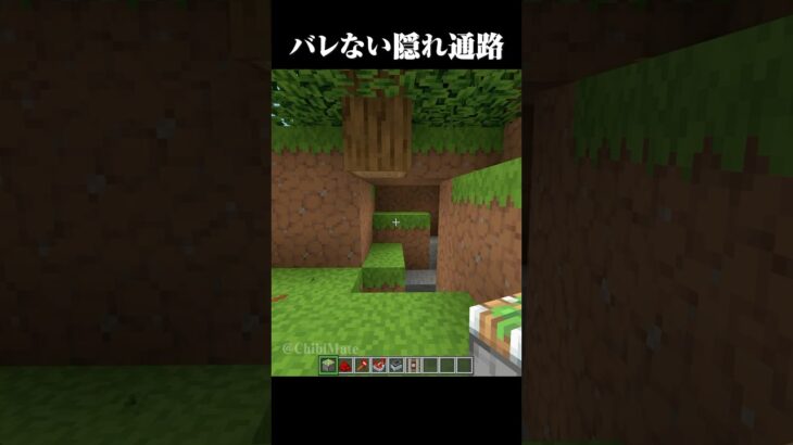 絶対にバレない隠し地下通路 #マイクラ #minecraft #マインクラフト #shorts