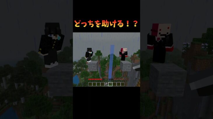 どっちを助ける？#minecraft #マイクラ #マインクラフト #shorts