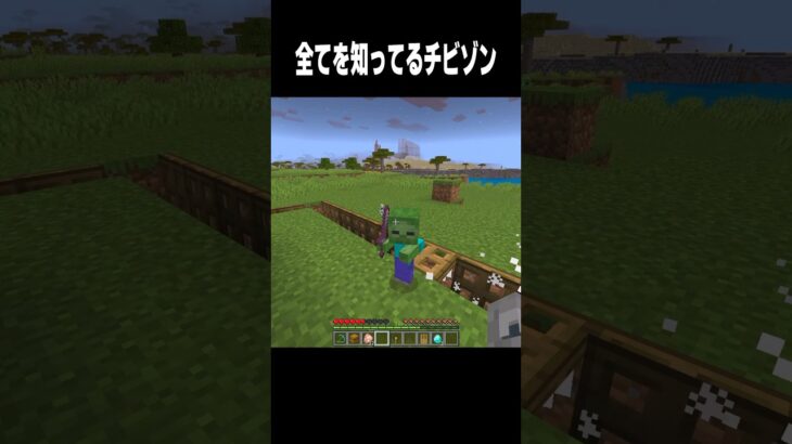 突破完了 #マイクラ #minecraft #shorts