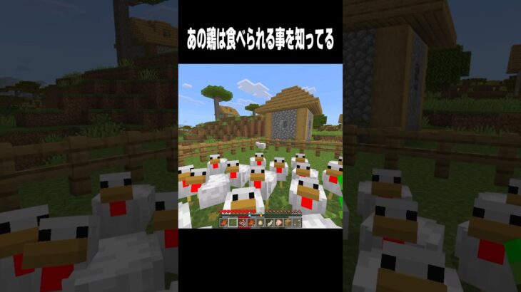 自由を求める鶏🐔 #マイクラ #minecraft #shorts