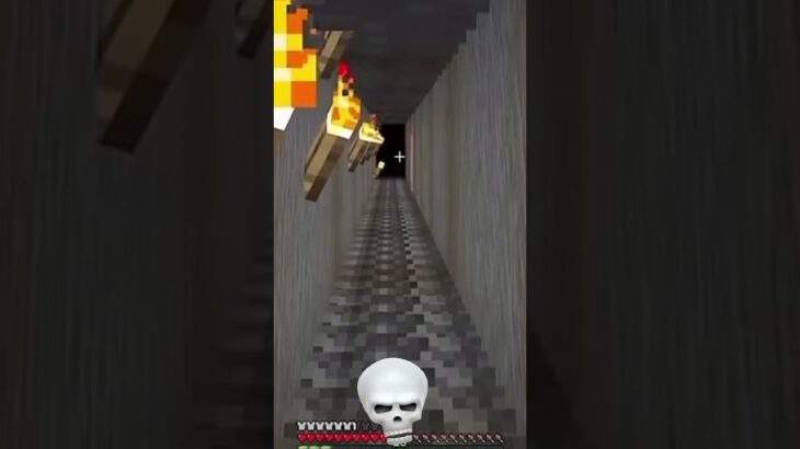 @notvixios horror mod? moment 💀 #minecraft #thundervillager #thundermartin 2025